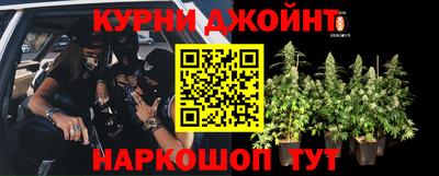 кокс Кинель