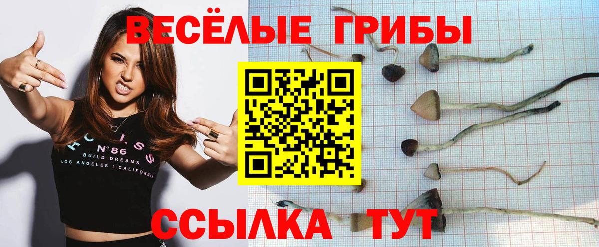 наркота  Вход с VPN  Шали  Галлюциногенные грибы Magic Shrooms 
