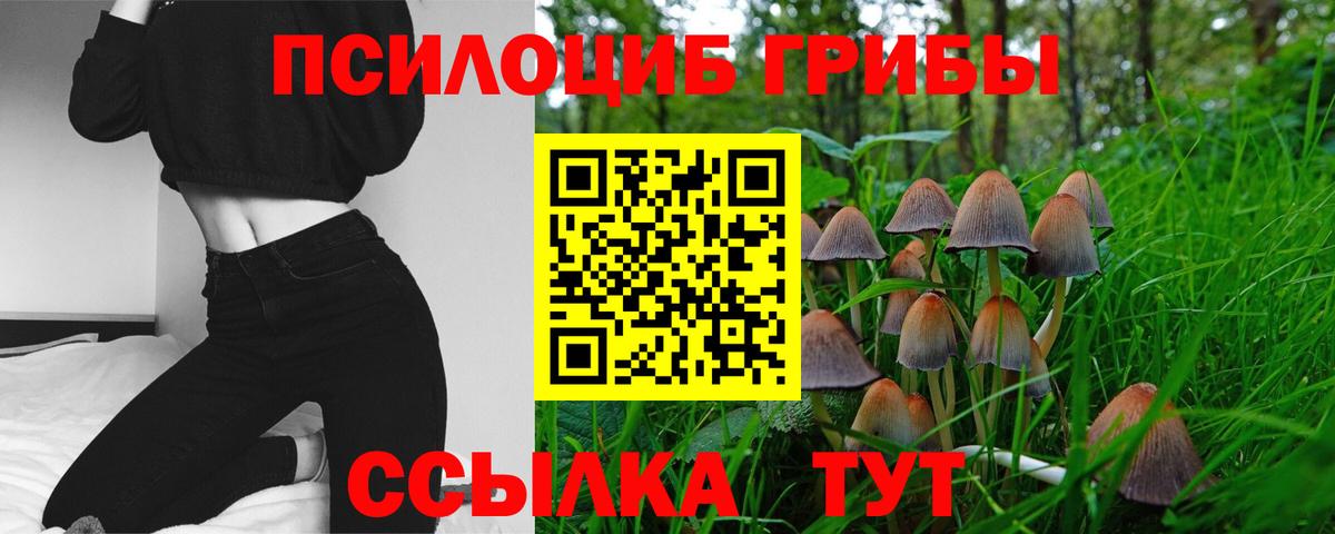 Галлюциногенные грибы ЛСД Шали